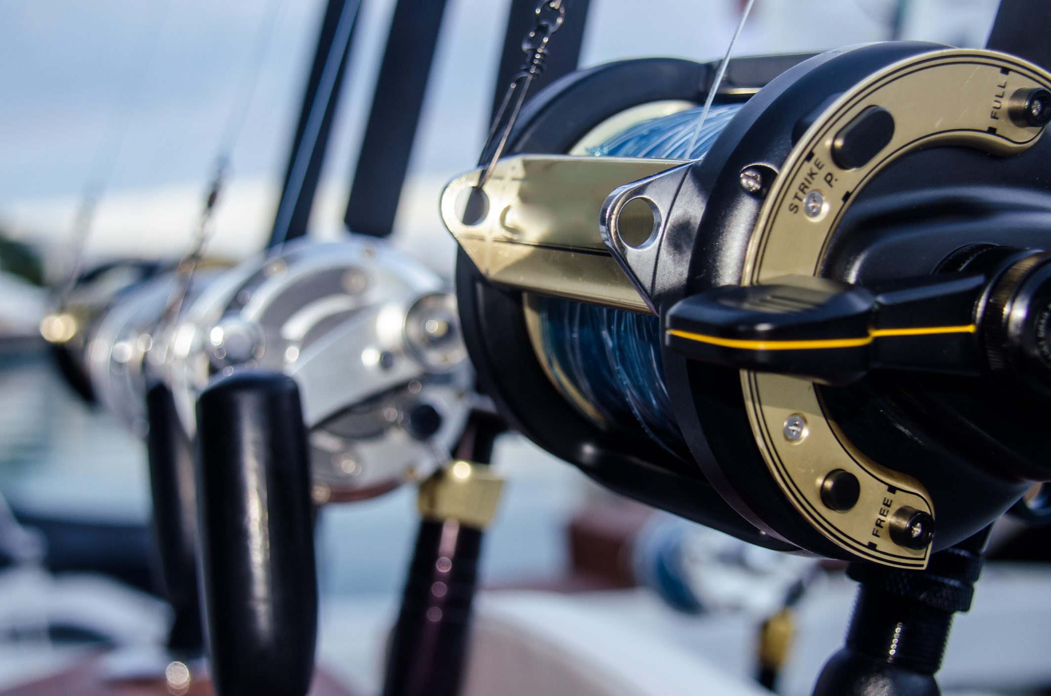 fishing reel